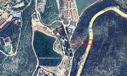 Kuşadası kıyılarında arkeolojik miras koruma altına alındı