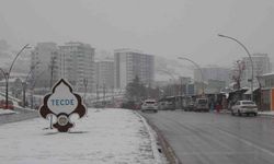 Malatya'da kar ve sis etkili oluyor