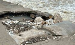 Mesire alanındaki hasarlı köprü tehlike saçıyor