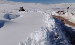 Meteorolojiden Bayburt için don ve çığ uyarısı