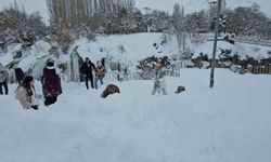 Muradiye Şelalesi'ne ziyaretçi akını