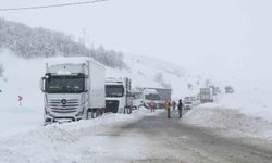 Muş-Bingöl kara yolunda kar engeli: 60 araç ve 140 kişi kurtarıldı