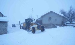 Muş'ta ekipler seferber oldu: 7 bin kilometre yol açıldı