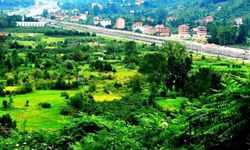 Öğretim Görevlisi Mehmet Akif Bal: 'Karadere Vadisi acilen tarımsal üretim üssü haline getirilmeli'