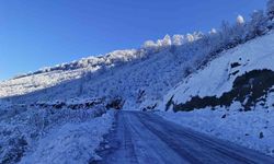 Ordu'nun 13 ilçesinde eğitime kar engeli