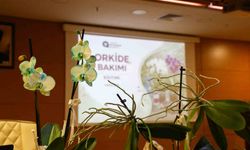 Orkide bakımı uygulamalı olarak anlatıldı