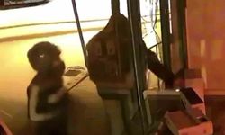 Parke taşıyla camları kırıp hırsızlık yaptılar: O anlar kamerada