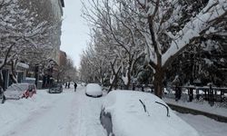 Patnos'ta kar ve dondurucu soğuk hayatı olumsuz etkiliyor