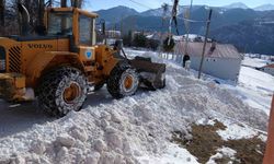 Posof'ta karla mücadele çalışmaları başladı