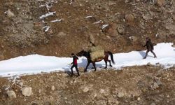 Prof. Dr. Lokman Aslan: 'Yaban hayvanlarına yiyecek bırakmak ekolojik dengeyi bozuyor'