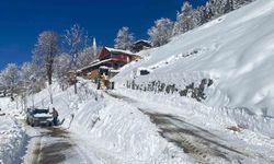 Rize'de 206 köy yolu kar nedeniyle ulaşıma kapandı