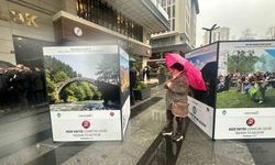 Rize'nin renkleri fotoğraflara yansıdı