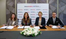 Rönesans'ın yenilenebilir enerjide kurulu gücü 3,5 katına çıktı