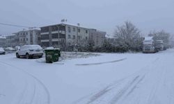 Sakarya yeni yıla karla uyandı: Şehir merkezinde lapa lapa yağıyor