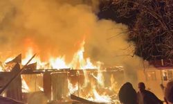 Samsun'da gece yarısı korku dolu anlar: Kırsal mahallede iki ev alevlere teslim oldu