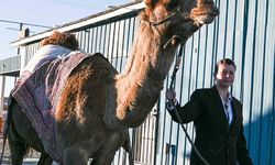 Sanatçı Mertcan Türkoğlu, Hi Jolly'nin Arizona'daki anıt mezarı başında anıldı