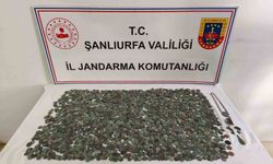 Şanlıurfa'da 2 bin 644 adet gümüş ve bronz sikke ele geçti