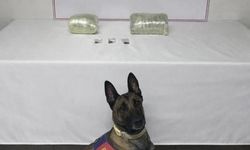 Şanlıurfa'da 2 kilo kubar esrar ele geçirildi: 1 gözaltı