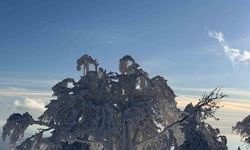 Sibirya değil Çataldağ