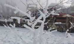 Sibirya soğukları hayatı olumsuz etkiliyor