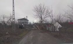 Şiddetli rüzgar ortalığı savaş alanına çevirdi: Yıkılan ağaçlar ve baraka yolu kapattı