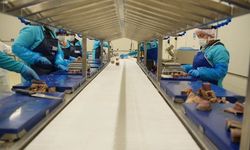 Sinop 2025'te ihracatta vites yükseltti