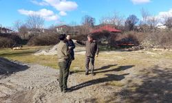Sinop'ta leylek popülasyonu projesi sahada incelendi