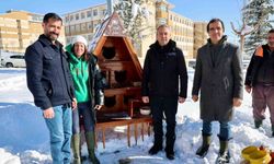 Sivas Belediyesi sokak hayvanlarını unutmadı