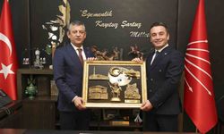 Sivrihisar'dan TBMM çıkartması