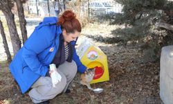 Sokak kedileri unutulmadı