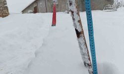 Şükranlı'da kar kalınlığı 35 santimetreyi geçti