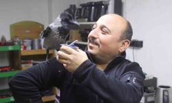 Tamirci çırağı karga