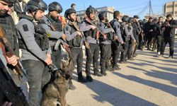 Terörden temizlenen Rakka'da özel eğitimli köpeklerle bomba arama çalışmaları