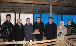 Türkeli'de örnek koyunculuğa başarı plaketi