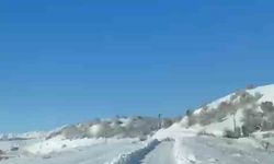 UMKE ekiplerinin hasta yolculuğuna kurt eşlik etti