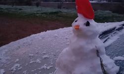 Urla'da kar yağışı etkili oldu