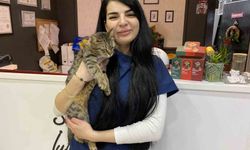 Uzman Veteriner Hekim Tuğçe Kara: 'Tüyü var üşümez inancı yanlış'