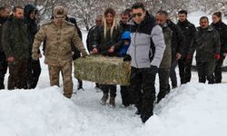 Vali Aygöl, yaban hayvanları için kolları sıvadı