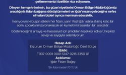 Vali Taşolar'dan tebrikler için anlamlı çağrı: 'Çiçek yerine fidan bağışı'