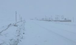 Van-Çatak kara yolu yeniden ulaşıma kapatıldı