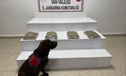 Van'da 5 kilo 250 gram kubar esrar ele geçildi