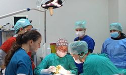 Veteriner Fakültesinde 3 bin hayvana şifa