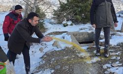 Yabani hayvanlar için doğaya yem bırakıldı