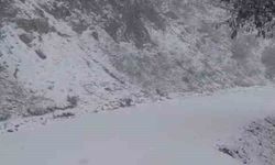 Yazın yanan orman sahası beyaza büründü