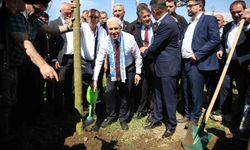 'Yeşil ve mavisi' ile Bursa yeniden nefes alıyor