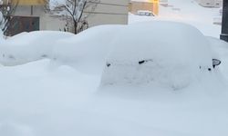 Yüksekova kara gömüldü: Kar kalınlığı yarım metreyi geçti