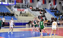 Potanın Dişi Atmacaları Devleşti