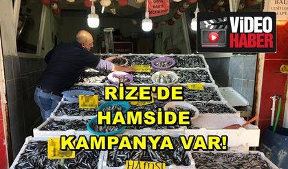 Rize'de Hamside Kampanya Var! 18 Kiloluk Hamsi Kasası...