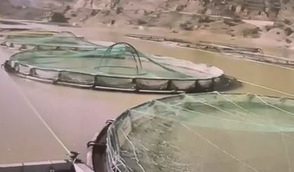 Ayının su ürünleri tesisindeki balıkları yiyip uzaklaştığı anlar kamerada