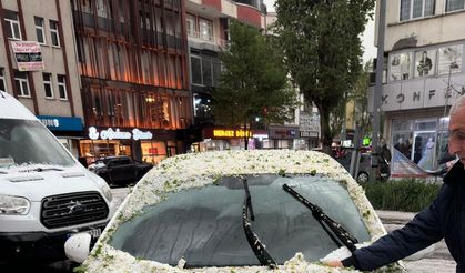 Ardahan’da dolu etkili oldu